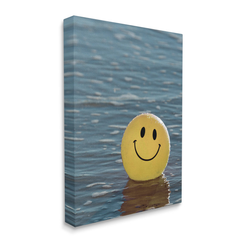 «Ba-074», reproduction de ballon de plage sur toile par Lil 'Rue, Giclée encadrée noir minuit, H 20 po x l 16 po x P 1,5 po