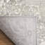 Llana Oriental Grey/Ivory Area Rug-1421869871