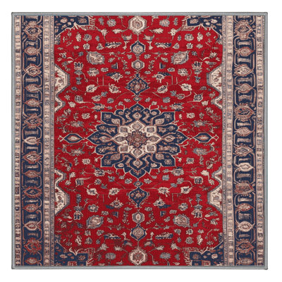 Machine Washable Persian Brown Area Rug