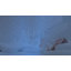 MHG Living Winter Microfibre Duvet 13.5 Tog with Breathable Hypoallergenic Hollowfibre Filling Cooling- Available Single/Double/King/Super King-121836091
