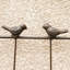 Ensemble de 2 treillis de jardin en métal 71 po x 19,7 po antirouille pour plantes grimpantes-129460411