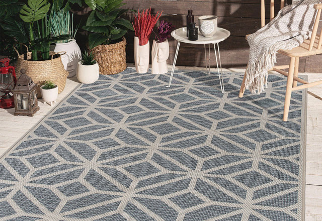 Area Rugs Under $99