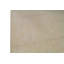 Floral Area Rug in Ivory