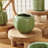 Pot Planter-911332709