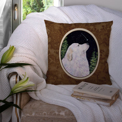 Coussin décoratif intérieur / extérieur Starry Night Great