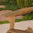 Loveseat-272203480