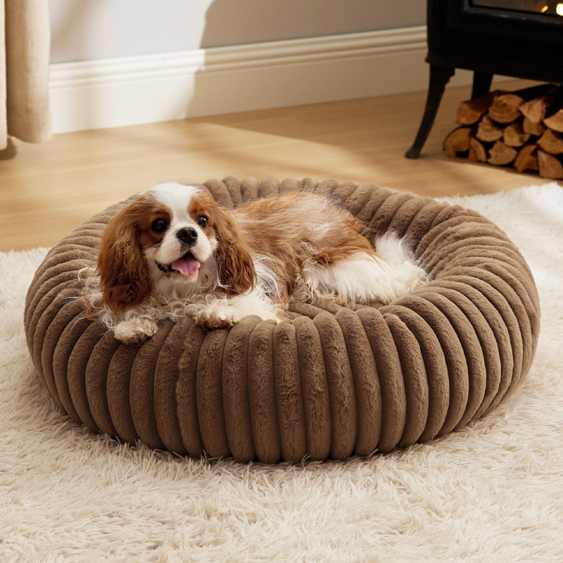 Lit pour chien Bedsut Donut, M (H 8 po x l 30 po x P 30 po), Brun