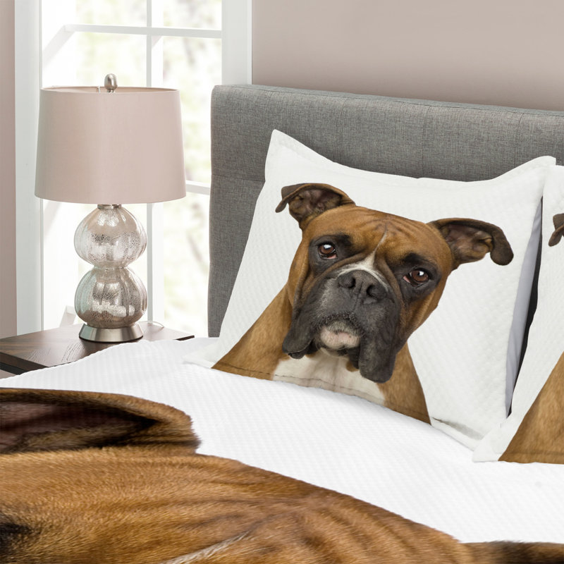 Wonderlin 264 TC Duvet Cover Set