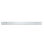 Venatino Elysia 0.75 in. x 12 in. Honed Marble Pencil Molding Tile Trim
