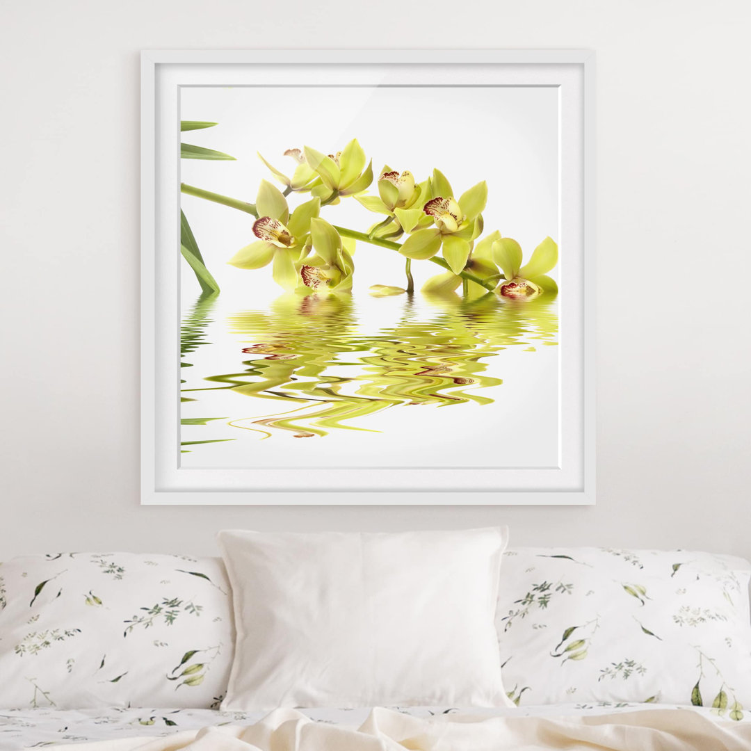 Gerahmter Kunstdruck Elegant Orchid Waters