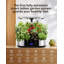 Système de culture hydroponique pour jardin intérieur 12 gousses