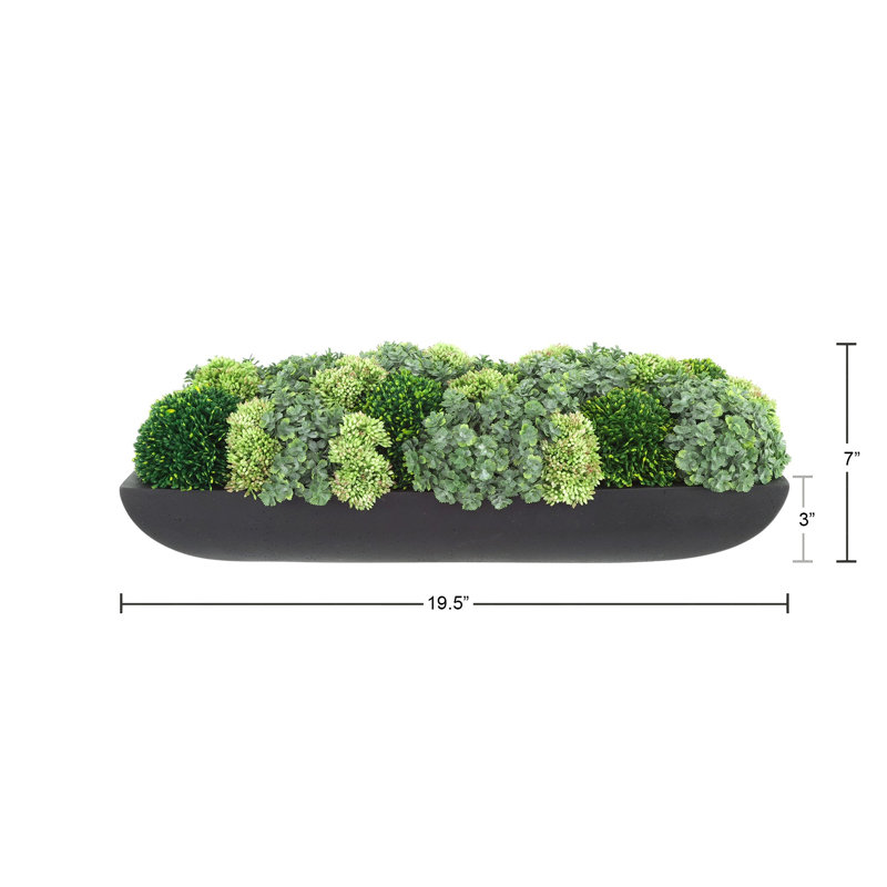 Jerez Faux Succulent in Fiberstone Planter, Black