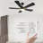 Amonnie 52'' Ceiling Fan with LED Lights-1365979910