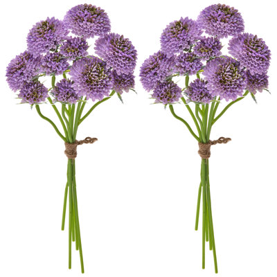 Scabiosa Floral Stems