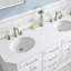 Palace 60'' W Double Vanity-556264864-624083299