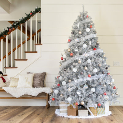 Silver Fir Christmas Tree
