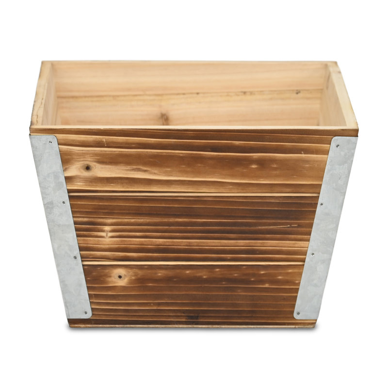 Seau à fleurs Cavorn, H 6,5 po x l 9,75 po x P 9,75 po