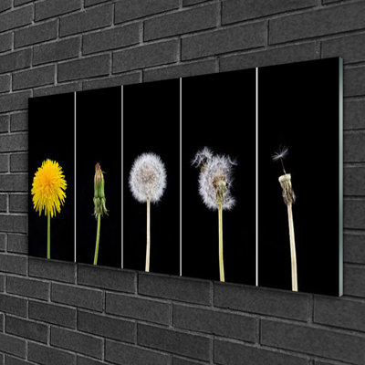 Dandelion Seed Head Floral - No Frame Print on Glass