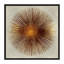 «Bronze Sunburst I» par Abby Young - impression d'art graphique-49899597-53127939