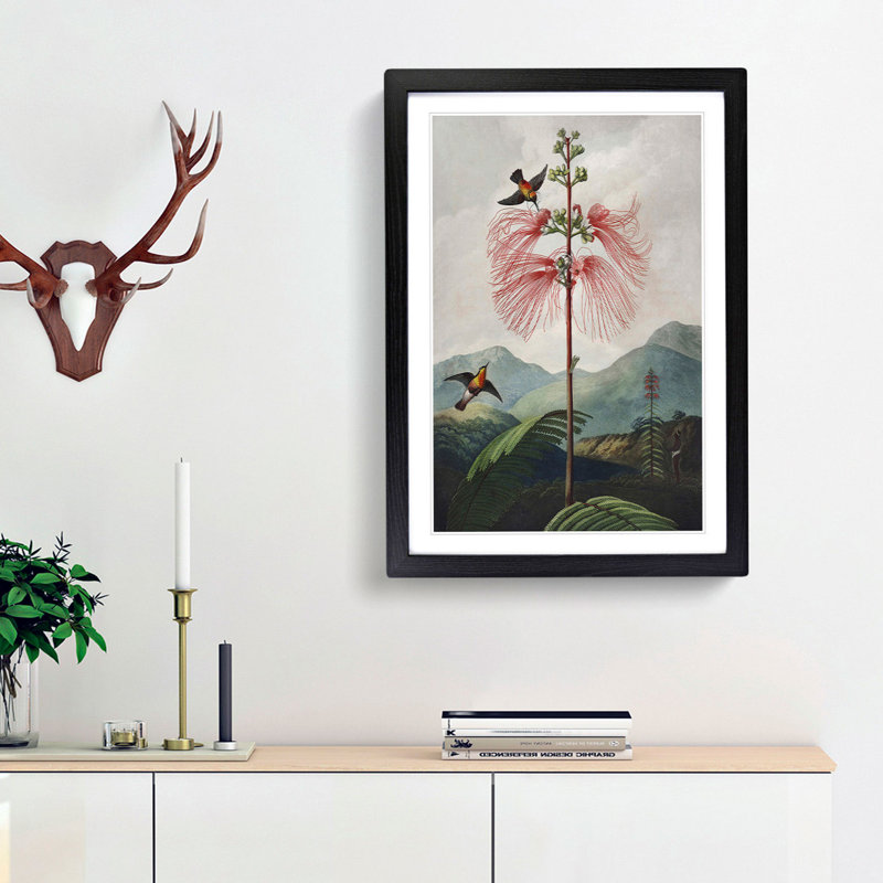 Flowering Plant and Birds by R.J. Thornton - Picture Frame Graphic Art Print, Black Framed, 36cm H x 27cm W x 2cm D