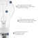 Luxrite Vintage A19 LED Light Bulb 7W=60W 5CCT 2700K 3000K 3500K 4000K 5000K Dimmable 800 Lumens, Standard LED Edison Bulb UL Listed, E26 Base 12 Pack