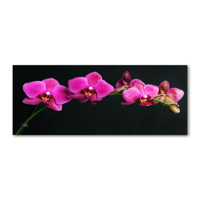 Orchid - Wrapped Canvas Print