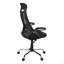Chaise de bureau, hauteur réglable, pivotante, ergonomique, accoudoirs, bureau d'ordinateur, travail, filet, métal chromé, contemporain, moderne-123954156-123954155