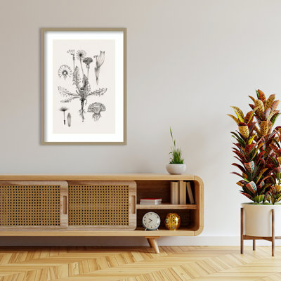 «Botanical Study of Dandelion Forms» par Eli Jones, reproduction d'art encadrée sur bois