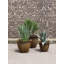Norman Planter-14486368