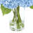 Real Touch Hydrangeas Arranged in a Glass Vase-1853983197