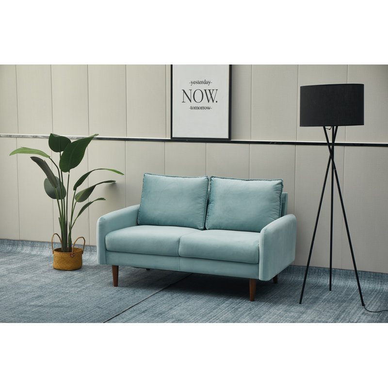 Emteas 57.3'' Velvet Loveseat, Light Grayish Cyan Velvet