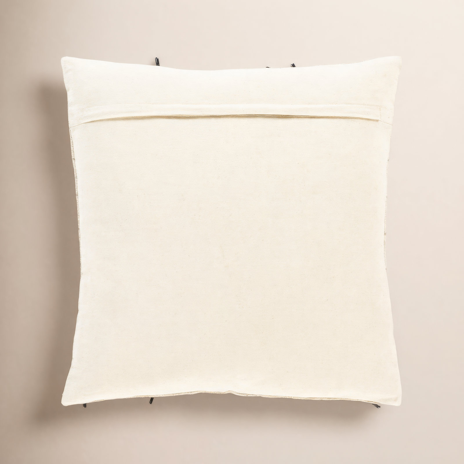 Santina Tassels Cotton Throw Pillow, 18" x 18", Polyester/Polyfill