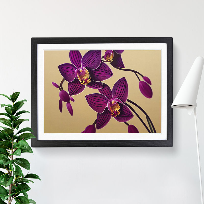 Otherworldly Orchid Flowers - Single Picture Frame Print, Black, 46cm H x 64cm W x 2cm D
