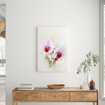 Sylvia Cook - Wrapped Canvas Print