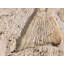 6" x 6" SeaStone Fish Tail Fossil Bevel Edge Medallion Tile in Buff
