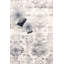 Tapis oriental ivoire / gris Amadeus-51020687