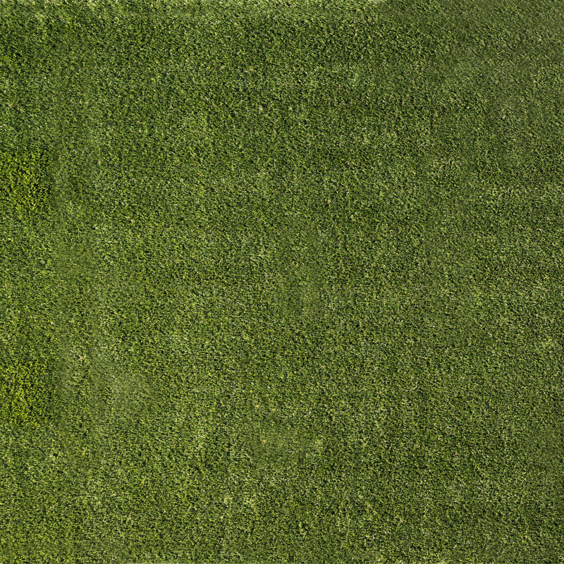 Gazon artificiel vert pré-coupé 6 pi x 8 pi Verdant Vista Lushscape