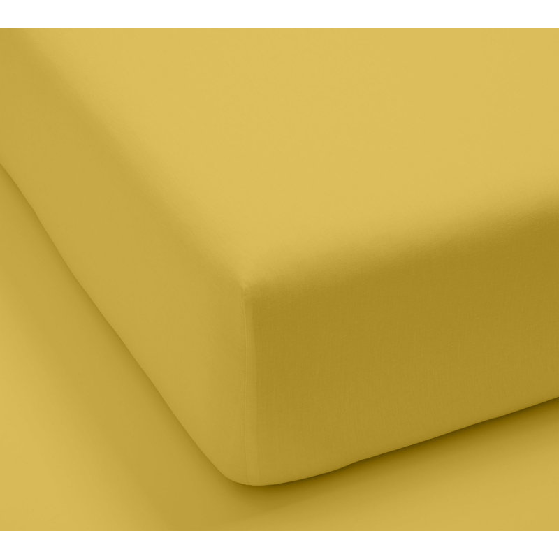 Monte Carlo Egyptian Cotton Sheet Set, Queen, Gold