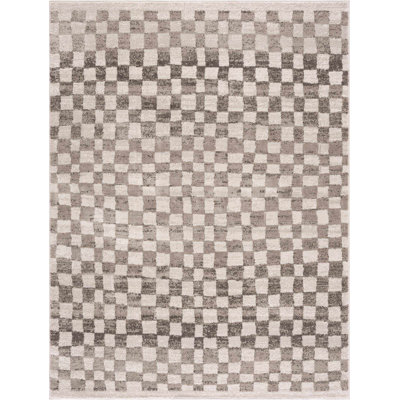 Jasha Checkered Beige/Brown Area Rug