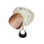 Horloge murale 23,6 po
