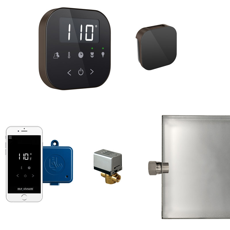 Steam Generator Control, Black/Brushed Bronze