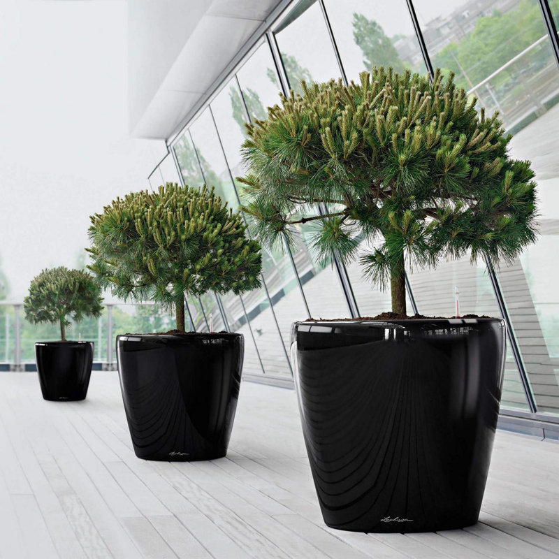 Classico Pot Planter, Glossy White
