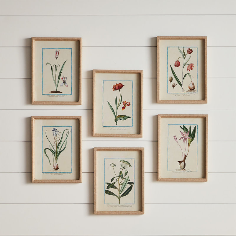 DAINTY FLORA & FAUNA STUDE, ENSEMBLE DE 9