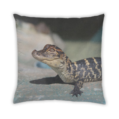 Coussin State Florida 14