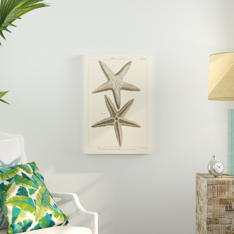 «Striking Starfish I», impression sur toile, H 30 po x l 20 po, Toile tendue