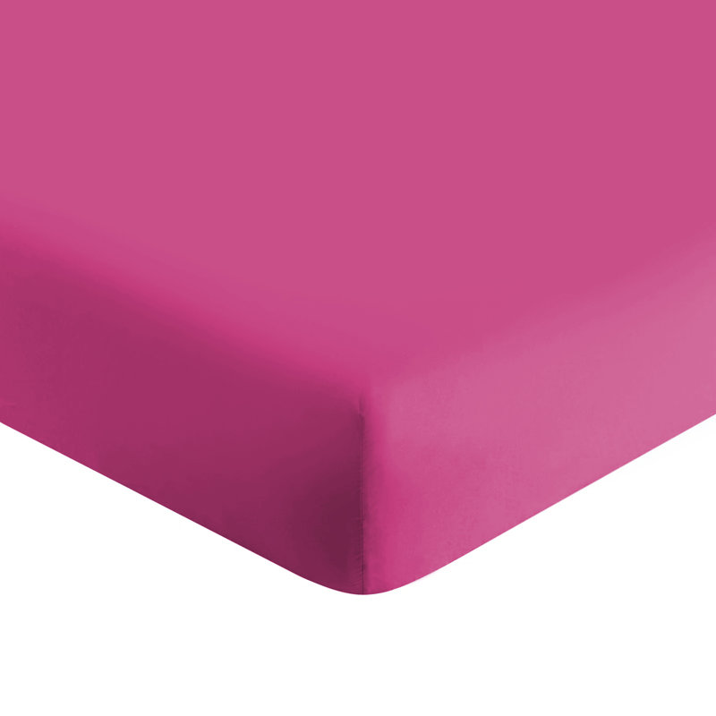 Lieselotte Extra Deep 100% Microfiber Brushed 40 cm Fitted Sheet, Single (3'), Pink