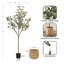 Faux eucalyptus Argueta avec panier tissé Livia-1740667609