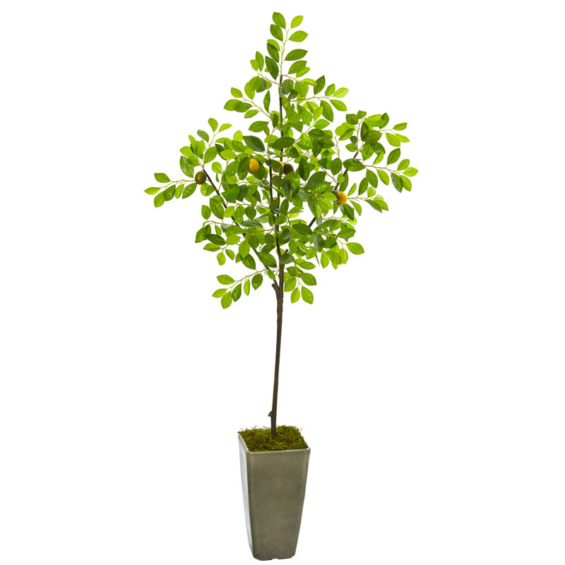 72'' Faux Lemon Tree in Planter