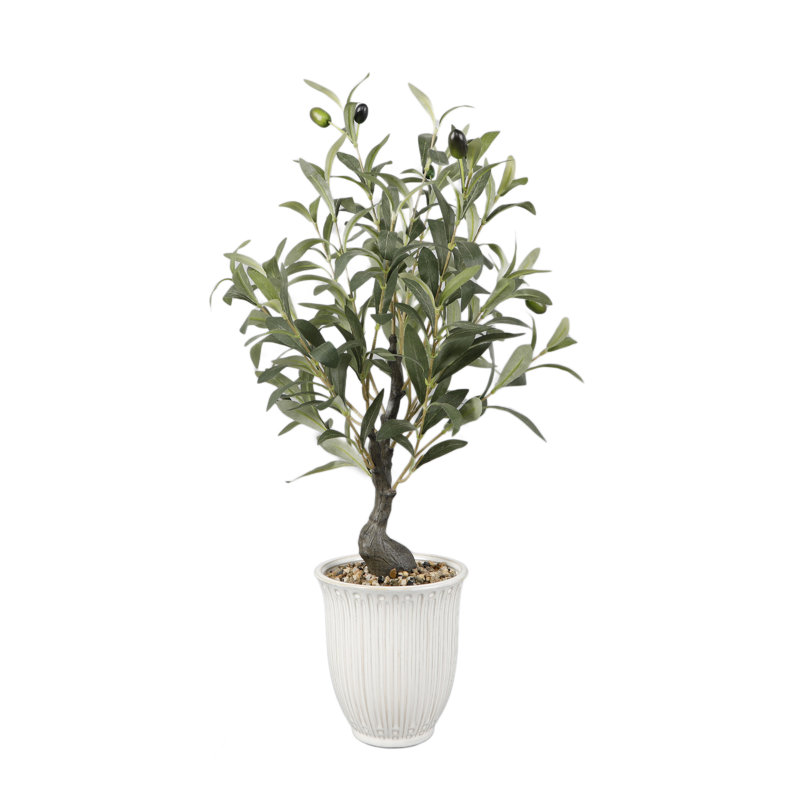 25.5" Olive Tree In 6" TEXTURE CERAMIC 6*6*6.25