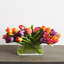 Arrangement floral tulipe mélangé dans un vase-961464649